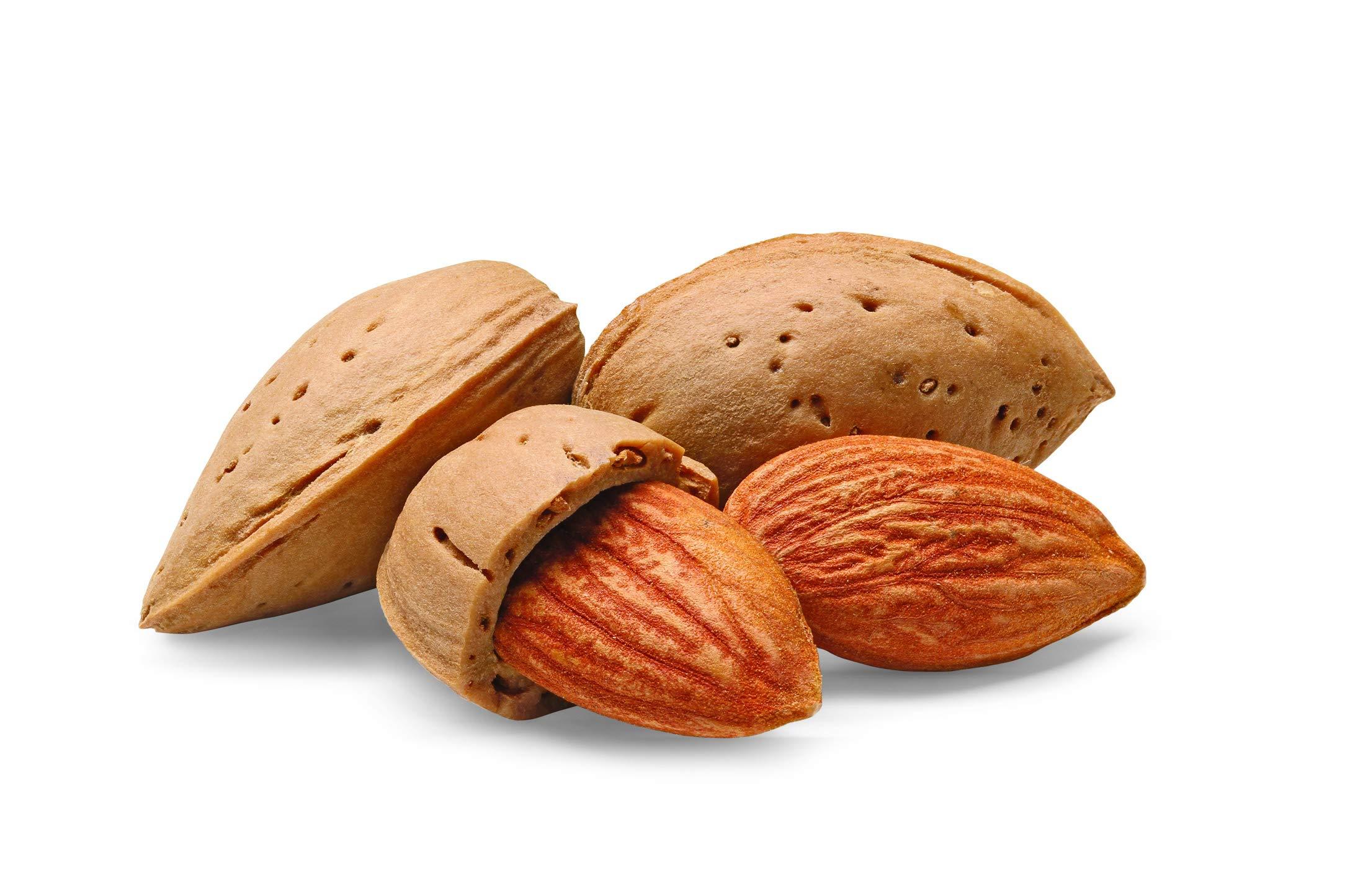 Watkins Watkins Pure Extract, Almond, 128 Ounce, 1 Count