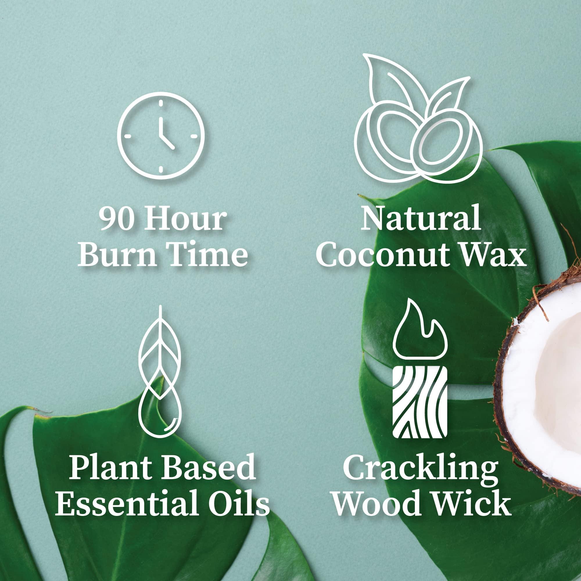 Hemlock Park Hemlock Park Crackling Wood Wick Candle Handcrafted with Natural Coconut Wax and Essential Oils (Large 16 oz, Sandalwood)