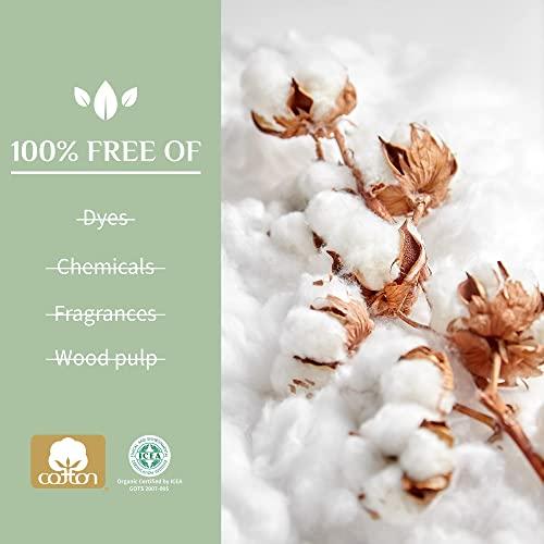 Organyc Organyc - 100% Certified Organic Cotton Tampons - No Applicator, Free from Chlorine, Perfumes, Rayon, and Chemicals 192 Count, Regular Flow (Pack of 12)