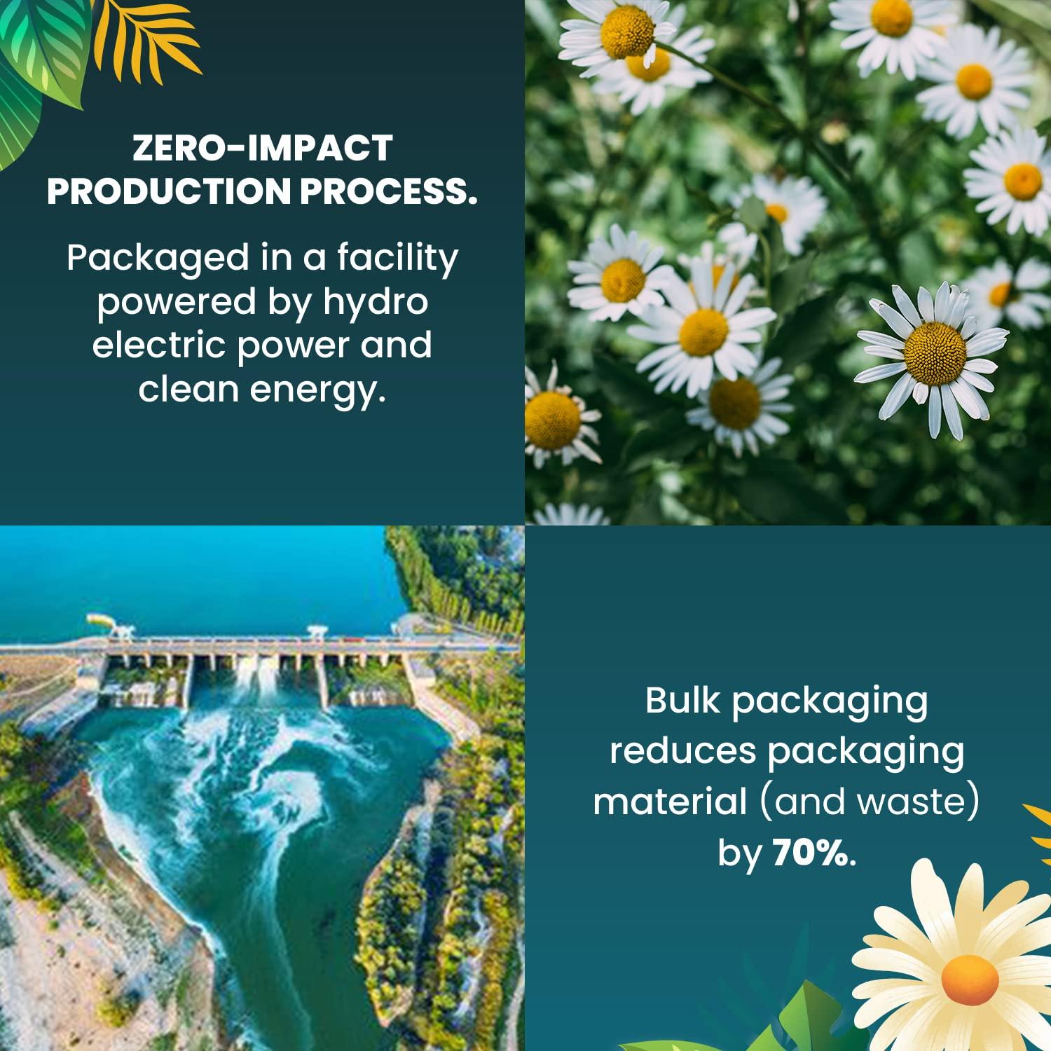 Cederberg Tea Company Organic Chamomile Tea — 100 Tea Bags | Organic Herbal Tea From Single Origin | Eco-Friendly Tea Bags | Non-GMO Caffeine Free Tea With Zero Sugar | Cederberg Tea Company