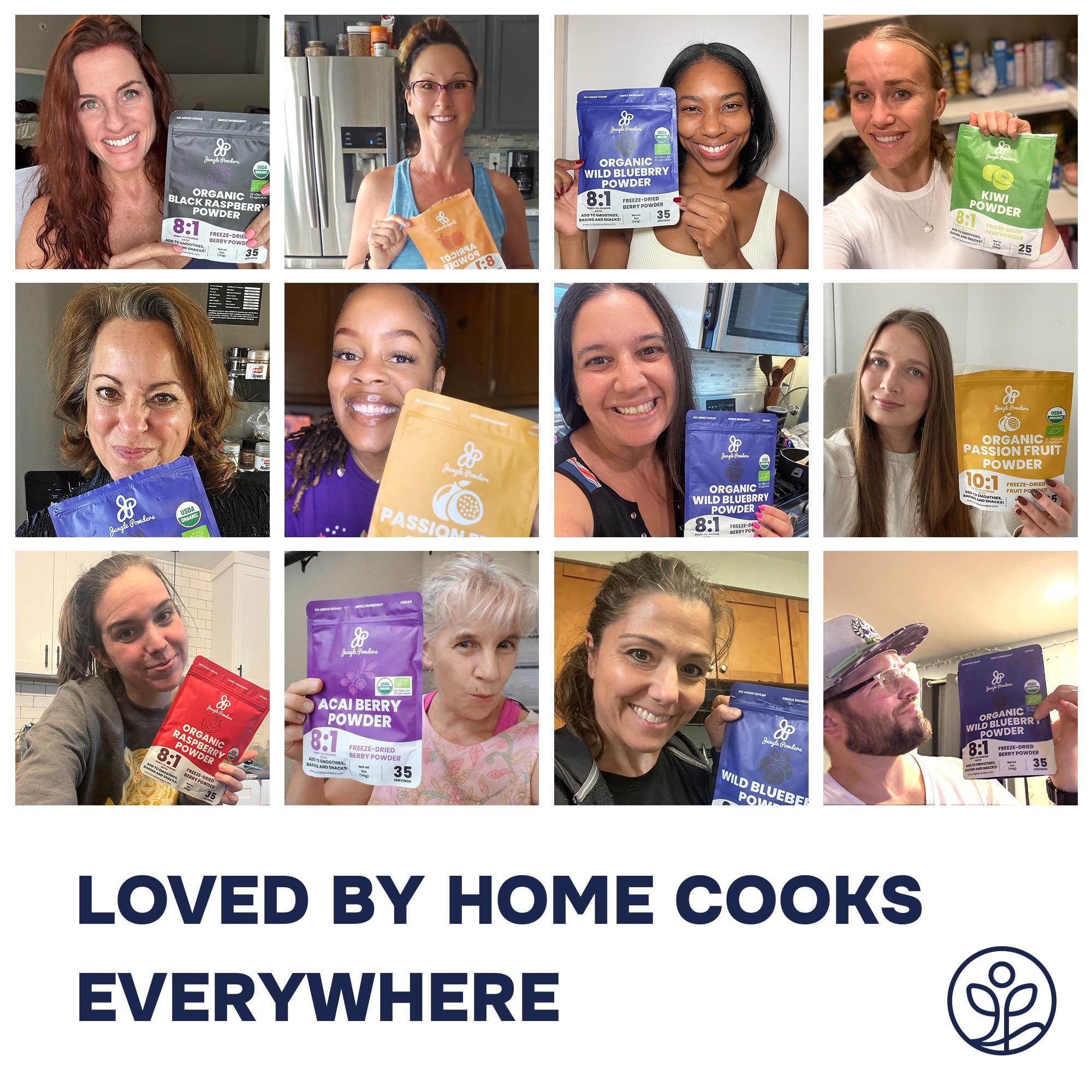 Jungle Powders Jungle Powders Wild Blueberry Powder 7 Ounce Bag, Nordic Freeze Dried Blueberries No Sugar Added For Smoothie, Additive and Filler Free Bilberry Fruit Superfood Powder For Baking Flavoring Cooking