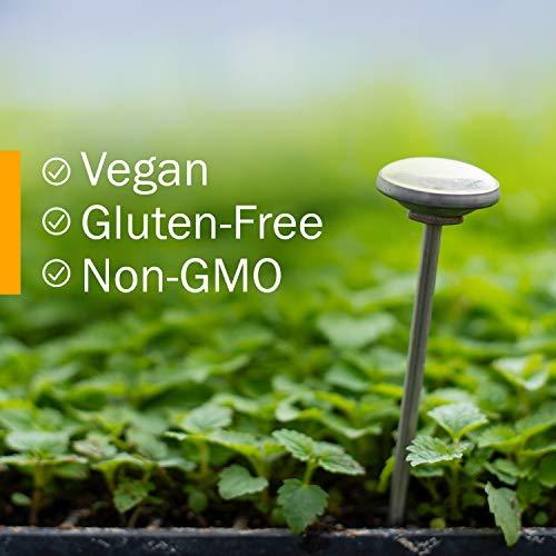 Herb Pharm Herb Pharm Certified Organic Super Echinacea Liquid Extract Drops for Active Immune System Support, 2 Oz