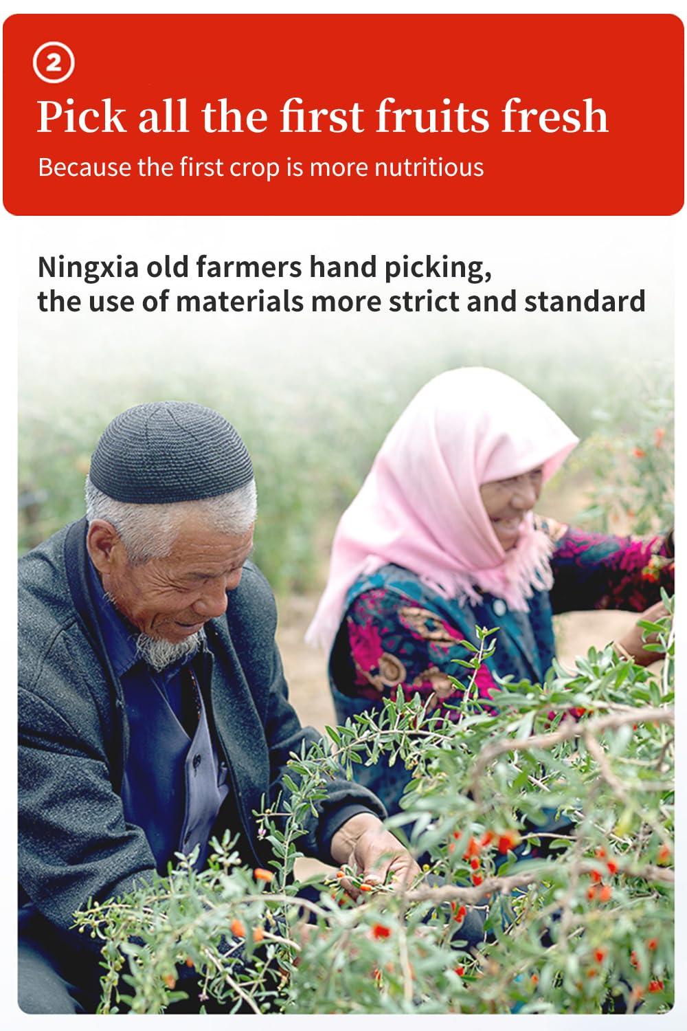 hee creek Goji Berries Fruit Puree Raw Liquid Drink (Wolfberries Juice) 100% pure juice Undiluted -15ml*20 PCSNo Added Sugar wolfberry tea goji puree goji juice (Wolfberries)