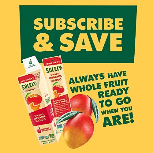 SOLELY Solely - Organic Mango Fruit Jerky - 12 Individually Wrapped Fruit Strips - Fruit Leather Made from Dried Fruit - Healthy Snacks, Vegan - 0.8oz (23g)