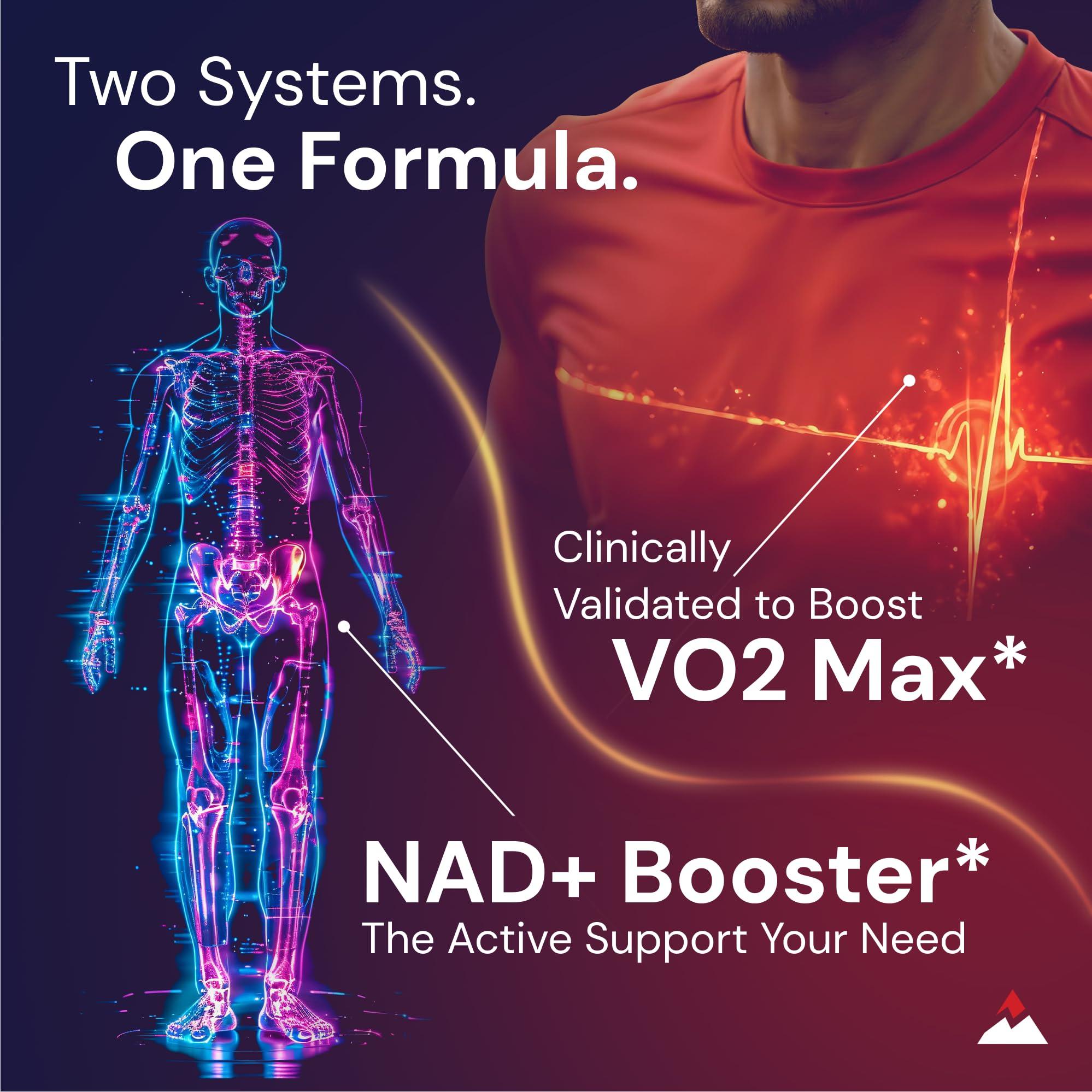 Novex Biotech Novex Biotech Oxydrene NAD+ Enhancer - Natural Supplement Promoting Metabolism and Cardiovascular Support for Men and Women - (60 Capsules)