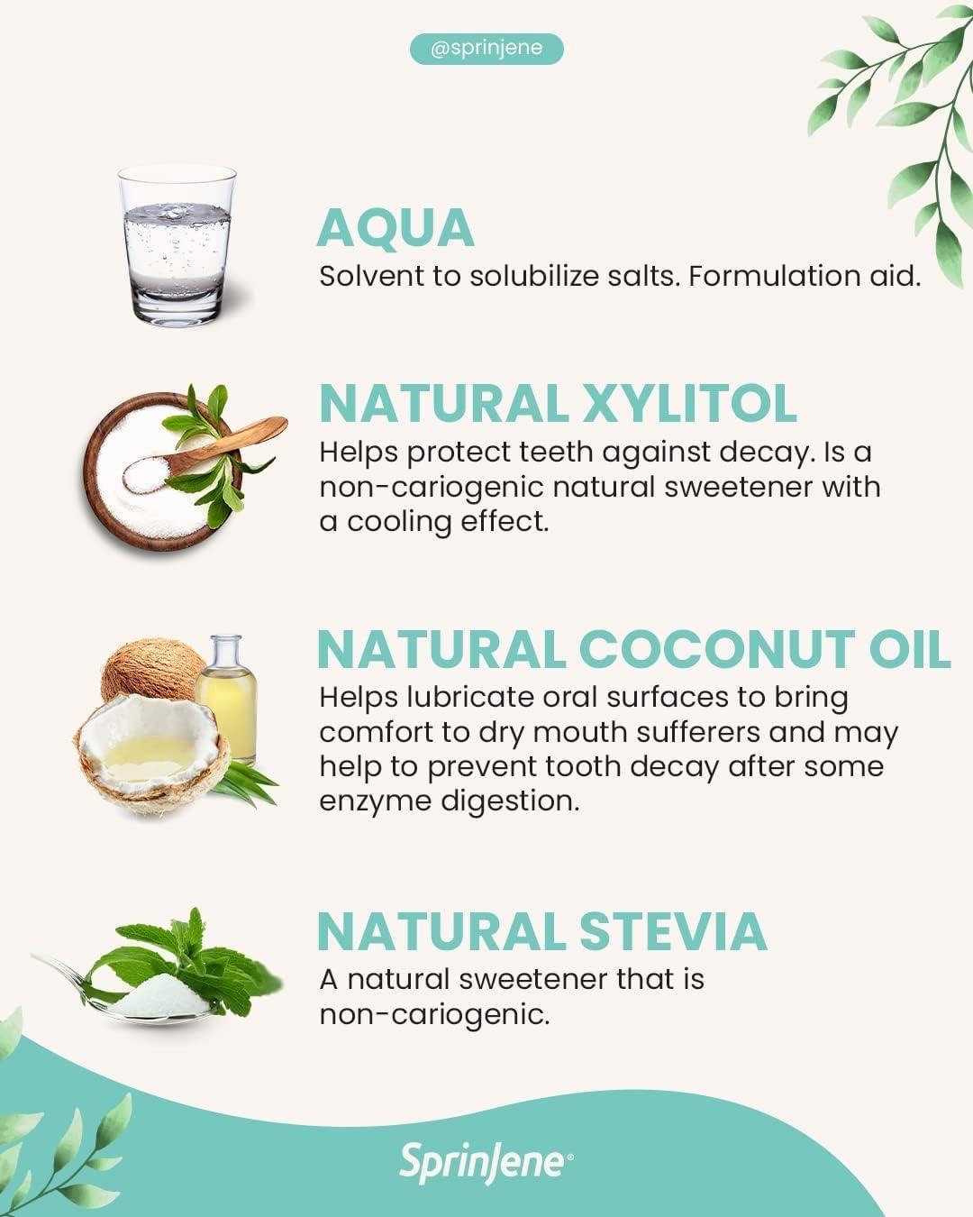 SprinJene SprinJene Natural Total Care, Fluoride Toothpaste for Strong Teeth & Gum | Natural Toothpaste for Cavity Protection | 2 Pack