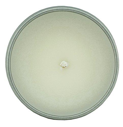 Stand Around Creations Premium 100% All Natural Soy Wax Aromatherapy Candle - 2oz Tin - Strawberry: Fresh, Juicy Notes of Vine ripe Strawberries