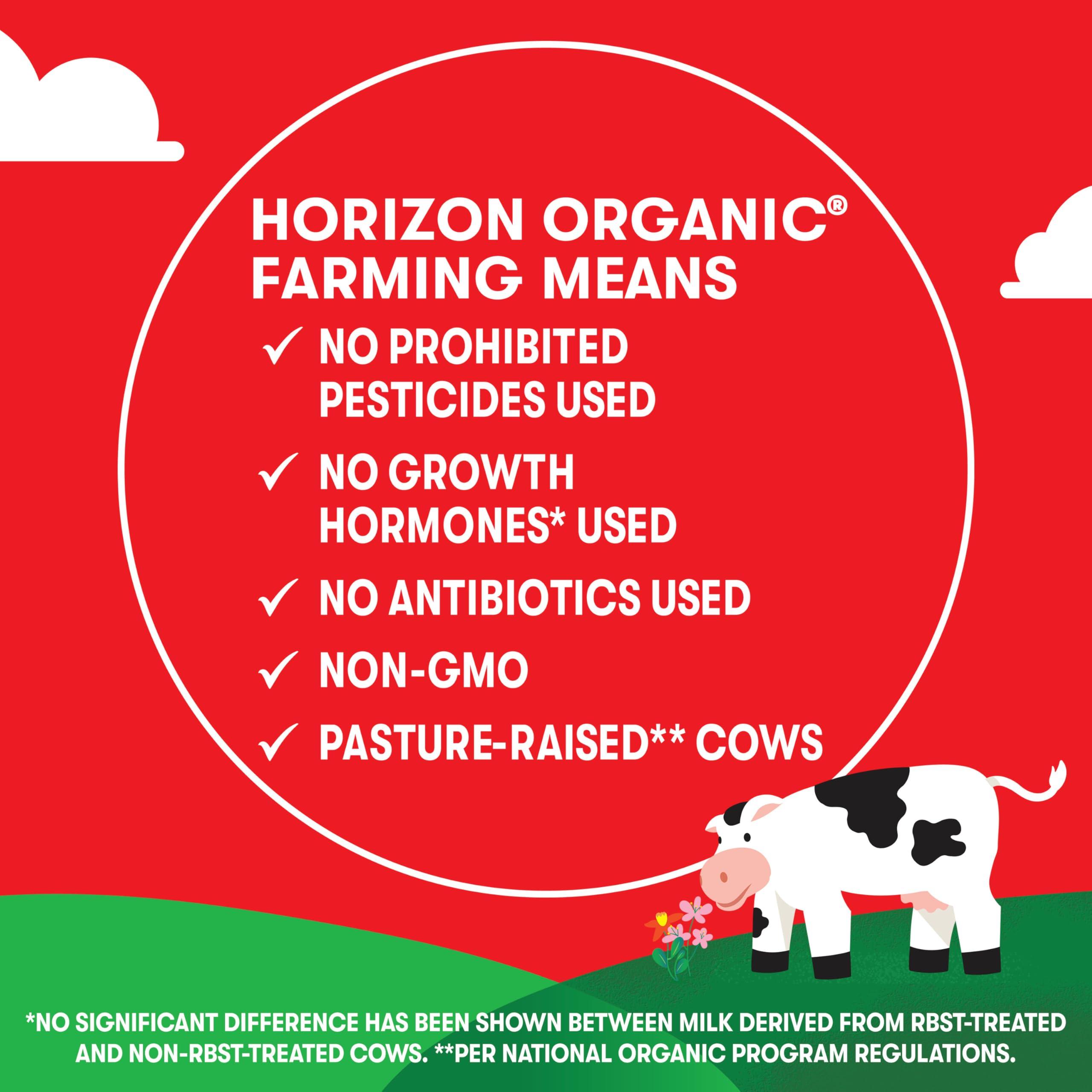 Horizon Organic Horizon Organic Shelf-Stable 1% Lowfat Milk Box, Chocolate, 8 Fl Oz, 1 Pack