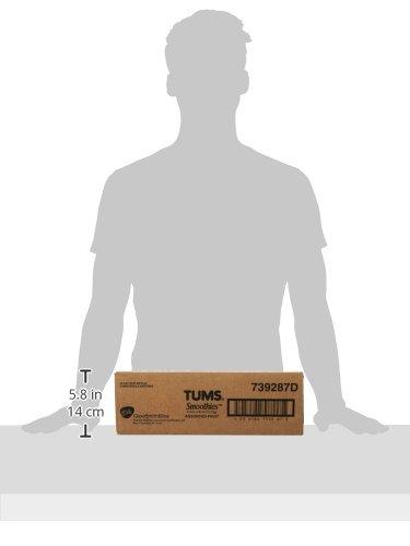 TUMS TUMS Smoothies Extra Strength Antacid Chewable Tablets for Heartburn Relief, Assorted Fruit - 60 Count (Pack of 2)