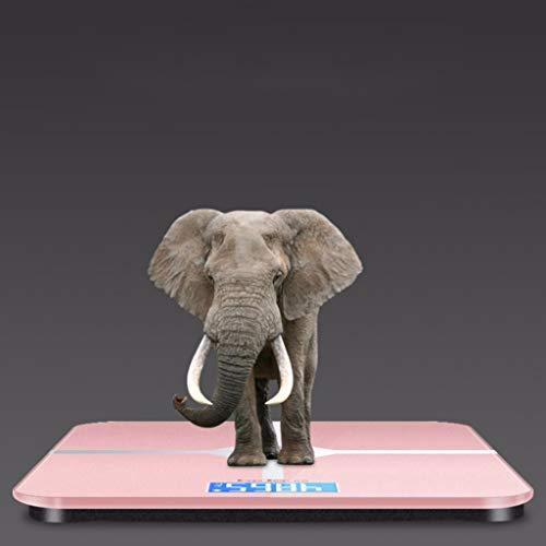 FKJLUN Bathroom Weight Scales Digital Body Weight Scale USB Charging Electronic Weighing Scale Bathroom Scale with Step-on Technology Highly Accurate Fat Scale (Color : Blue, Size : 28cm)