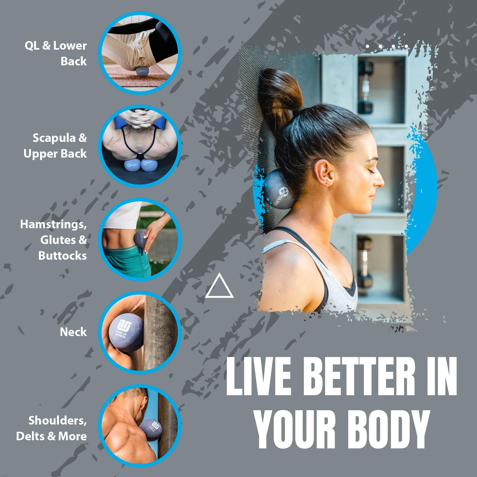 Apollon Nutrition Apollon Nutrition 50/50 Formula-X | Whey Isolate and Casein Protein | 2 lb (Dutch Chocolate)