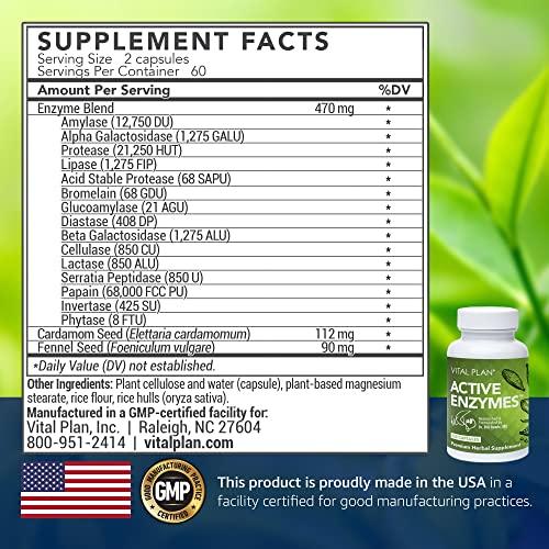 Vital Plan Vital Plan Active Enzymes Supplement by Dr. Bill Rawls - Digestive Enzymes for Gut Health & Digestion - Protease, Bromelain, Lactase, Amylase & Lipase (120 Capsules)