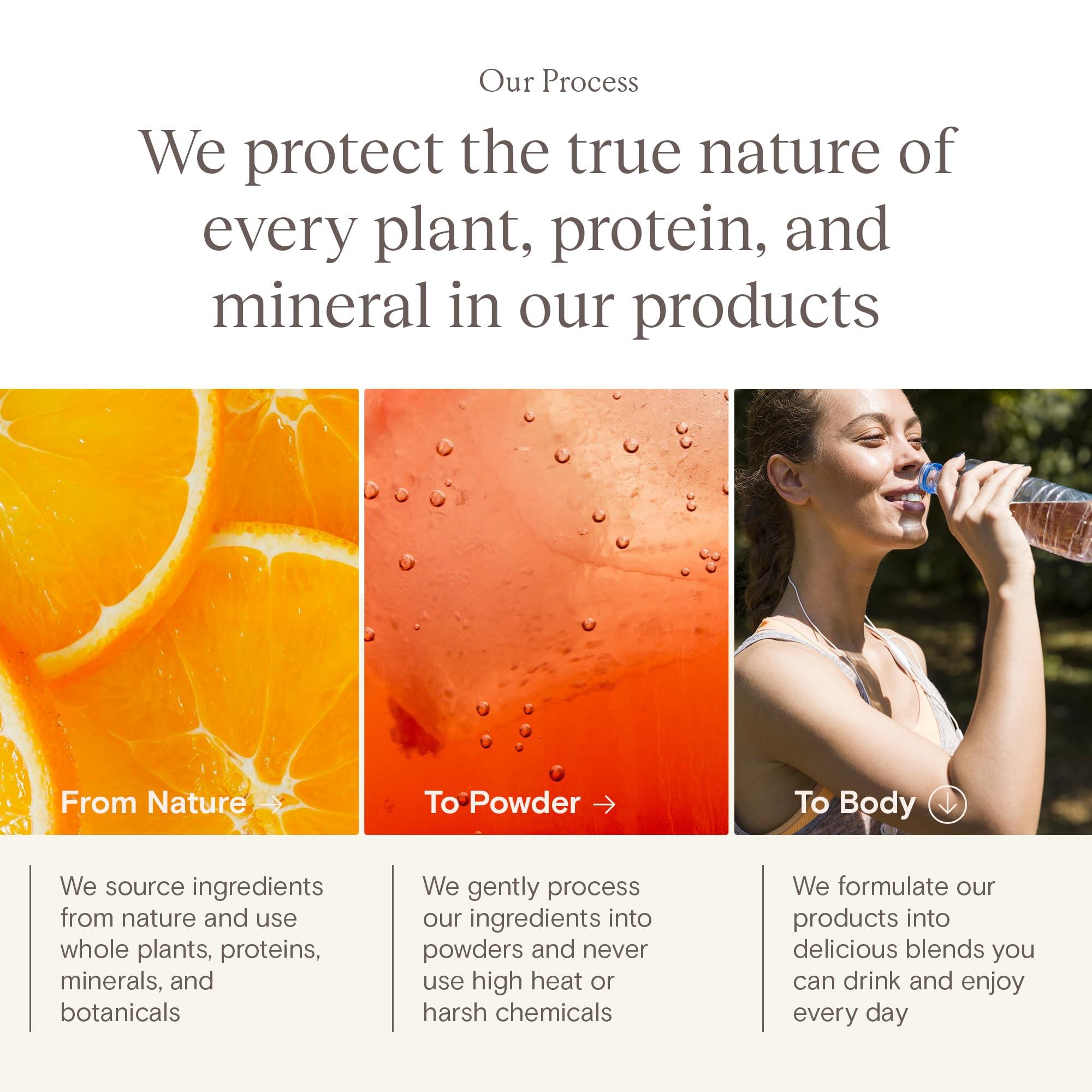 Yoli Yoli Truth Antioxidant and Immune Support Supplement with Vitamin C, Botanicals, Superfruits, and Minerals - Citrus, 30 Packets