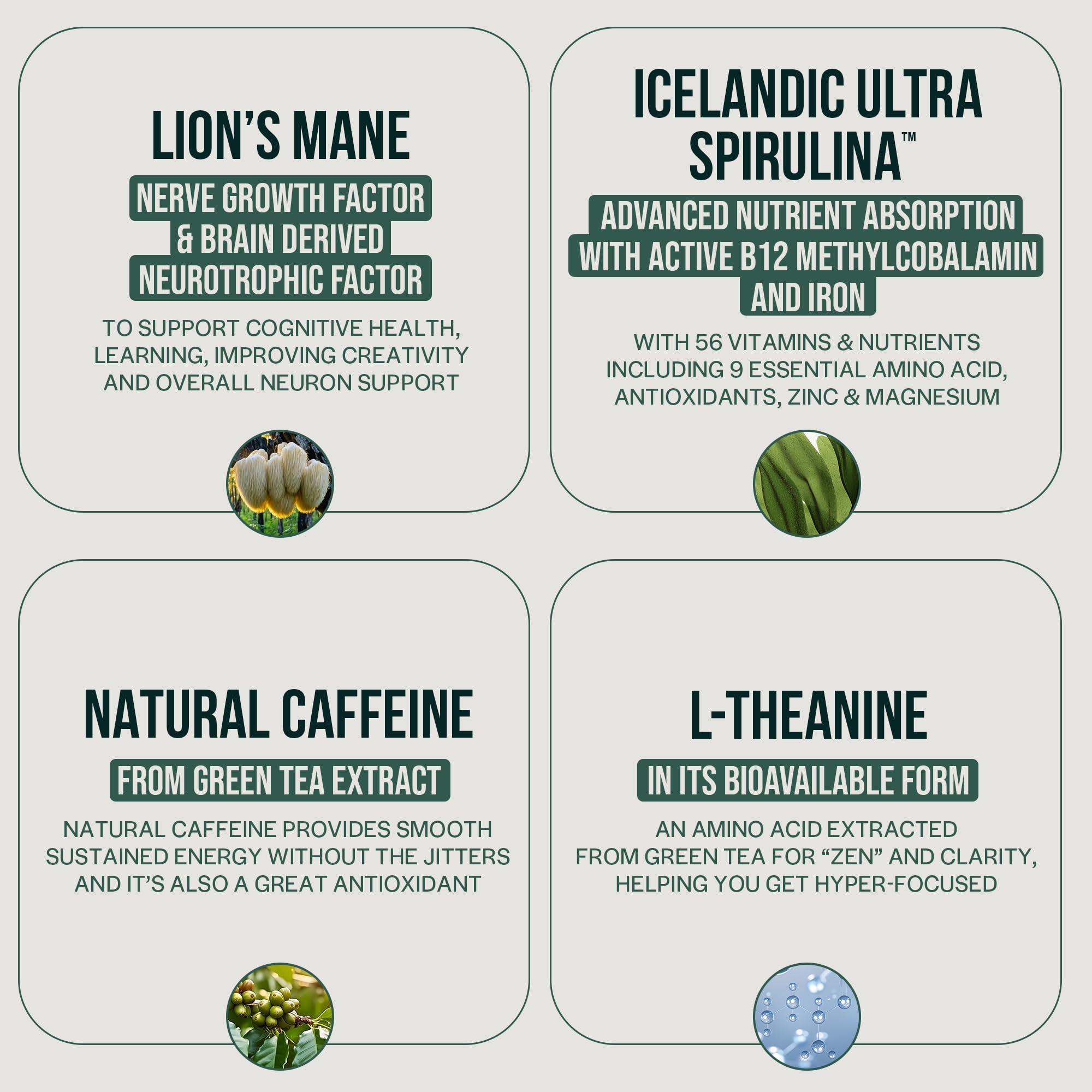 Orlo ORLO BRAIN PERFORMANCE BAR Vegan Protein Bars for Brain & Energy Support Focus & Memory, Pre & Post Workout Recovery Gluten Free Snack with L-Theanine, Lions Mane, Spirulina & More (SINGLE BAR)