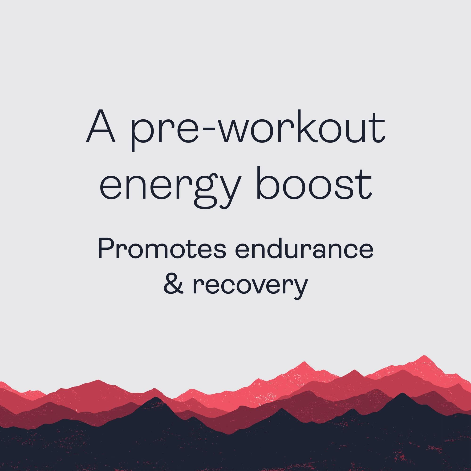 Gnarly Nutrition Gnarly Nutrition Natural Pre-Workout Powder - Endurance & Recovery, NSF Contents Certified, Vegan Pre Workout Wellness, Sports Nutrition - Mango, Caffeine 14.82oz