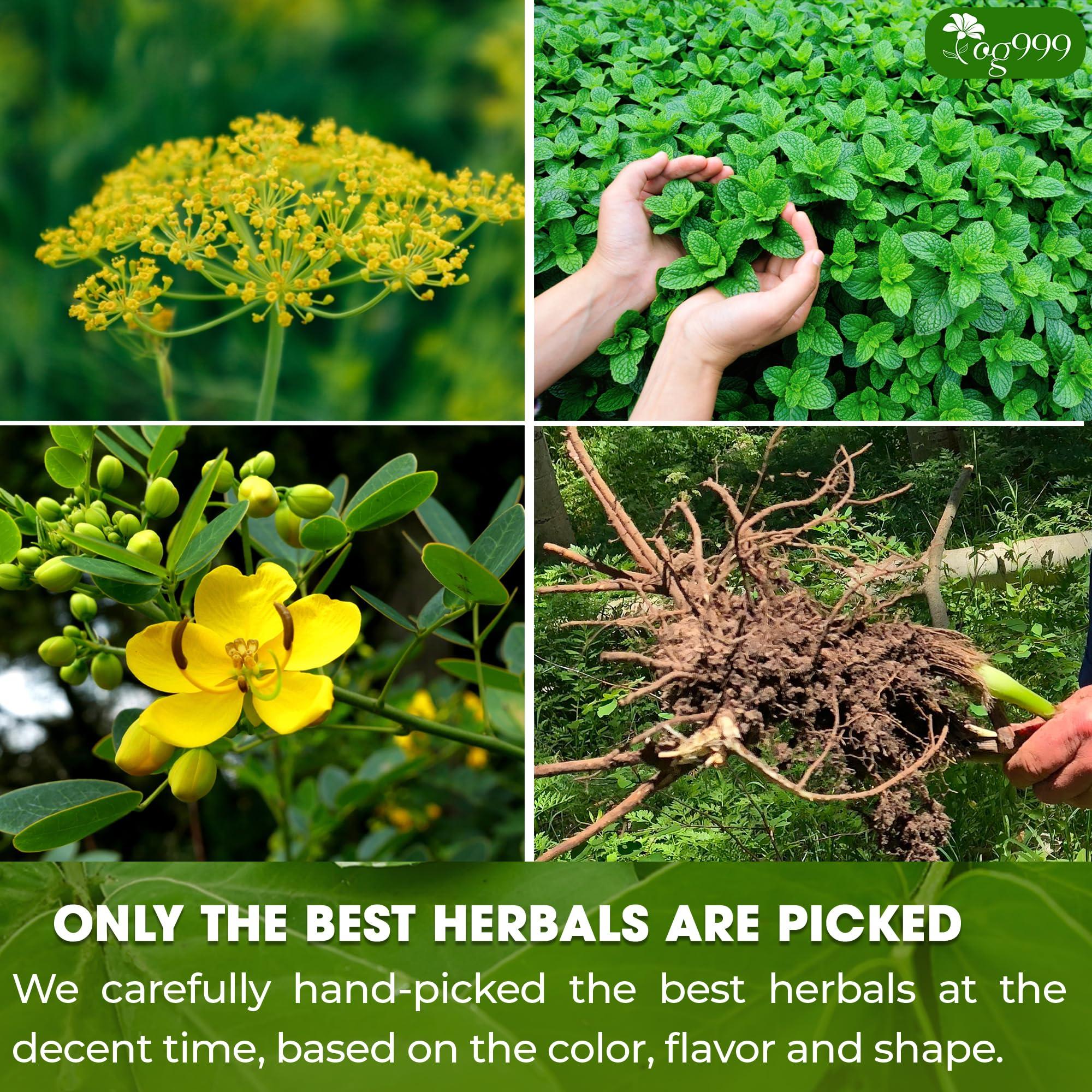 TOG999 100 Tea Bags Relieves Constipation Natural Tea, Blend of Senna Leaves - Peppermint - Licorice - Fennel, 100% Natural Ingrendients, Hand-made Herbal Tea, No Sugar, No Caffeine, No Gluten, Vegan.