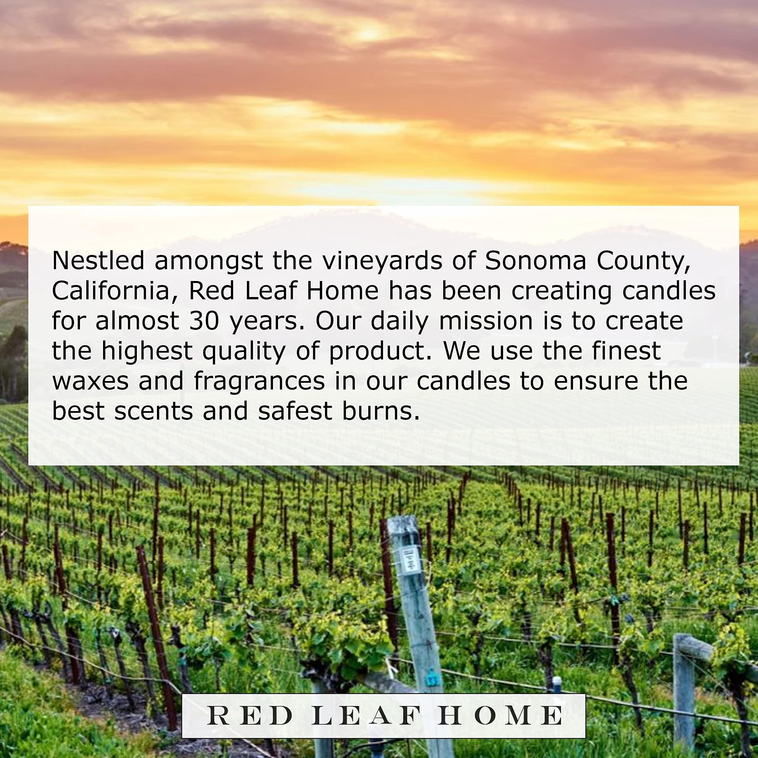 Red Leaf Home Red Leaf Home Turmeric Honey Candle, Large | Honeycomb Collection, Aromatherapy, Gift | 15.5oz Jar