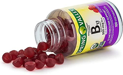 Adventure Home Spring Valley Adult Gummy Vitamin B12, Metabolism Support, Natural Fruit Flavor, 100 Gummies+Better Guide Vitamins Supplements