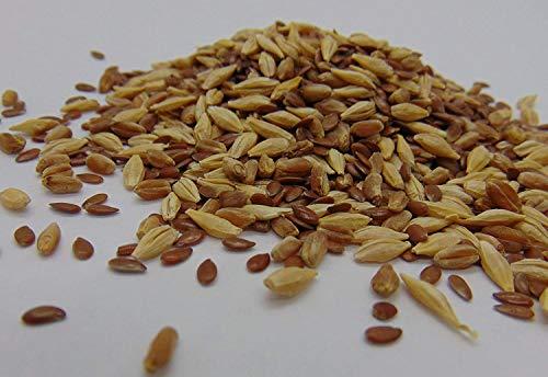 COUNTRY CREEK ACRES GROWING IS IN OUR ROOTS 4 oz Sprouting PET Mix - A Tasteful Mix of Wheatgrass, Flax and Barley Seeds. Seeds for Growing Microgreen Sprouts - Perfect Non GMO Seeds for Your pet! - Country Creek Acres LLC