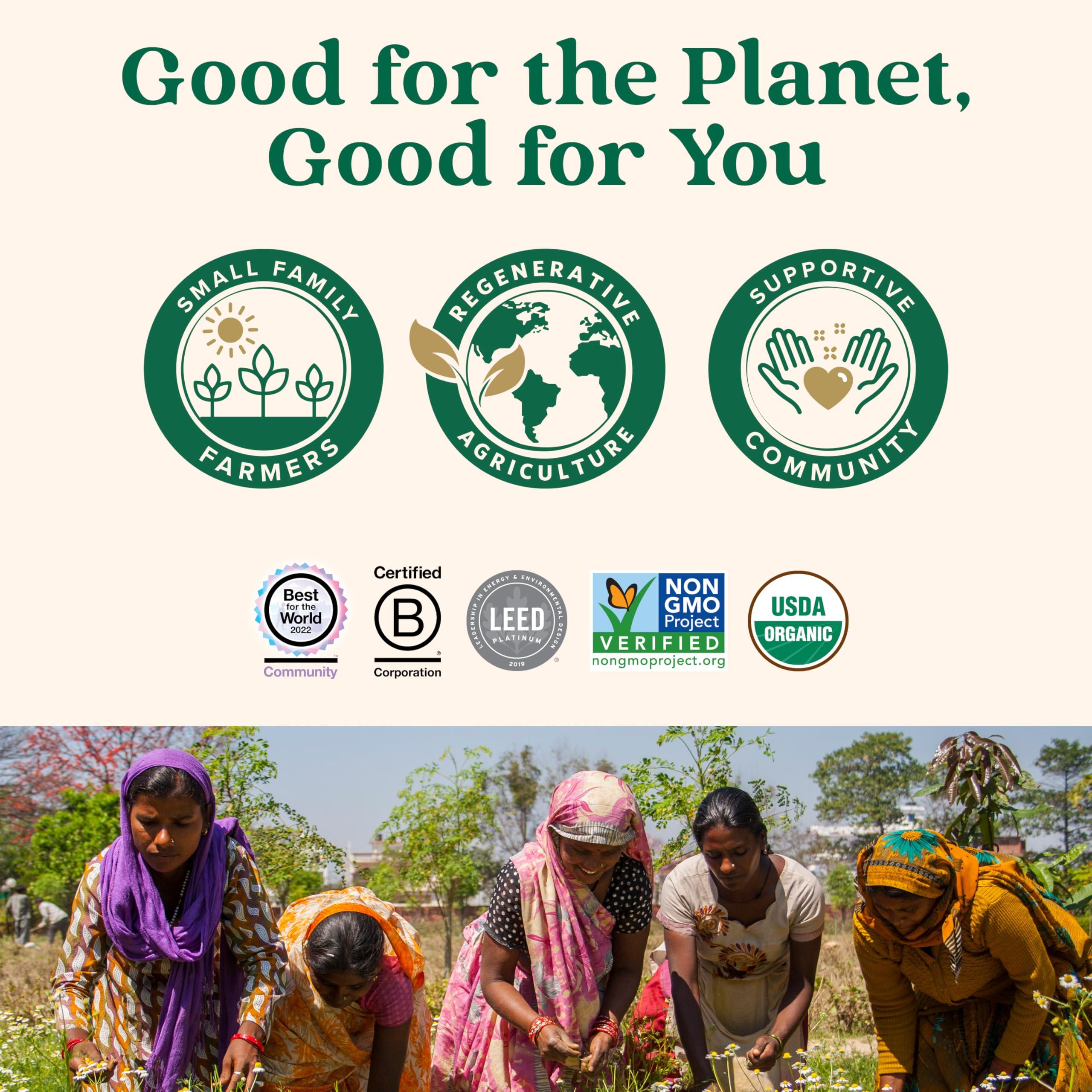 ORGANIC INDIA ORGANIC INDIA Psyllium Husk Powder - Pre & Probiotic Fiber Supplement, Organic Psyllium Husk Fiber Supplement, Whole Psyllium Husk Powder Unflavored, Dietary Fiber, USDA Organic, Gluten Free - 10 Oz