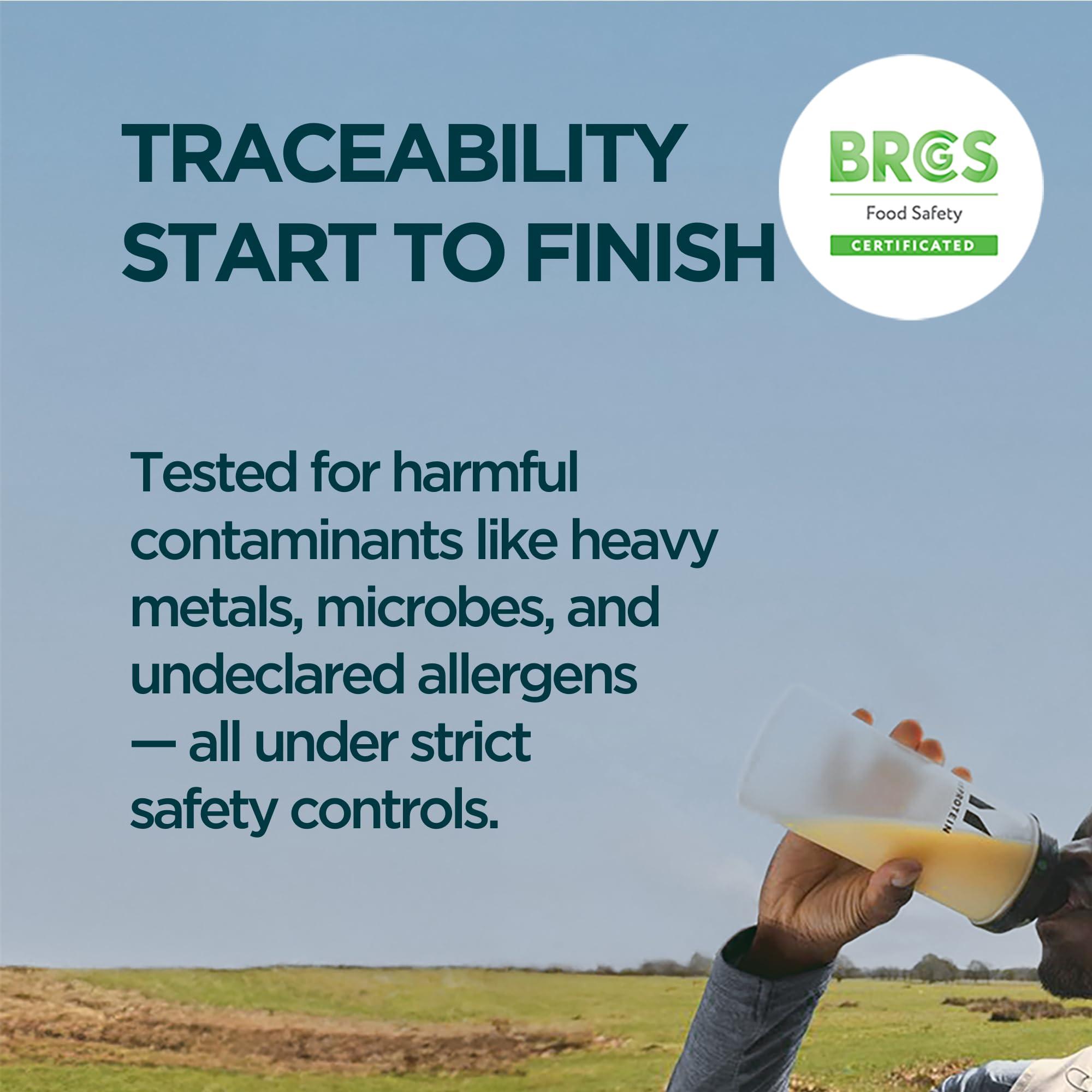 Myprotein Myprotein Impact Whey Protein Powder, 2.2 Lbs (30 Servings) Chocolate Milkshake, 22g Protein & 5g BCAA Per Serving, Protein Shake for Superior Performance, Muscle Strength & Recovery, Gluten Free