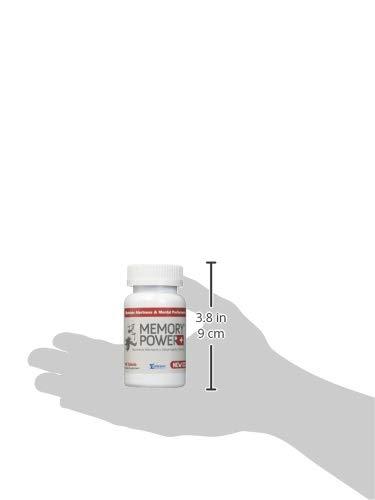 REAL SIMPLE Memory Power Plus Vitamin Tablets - 40 Ea