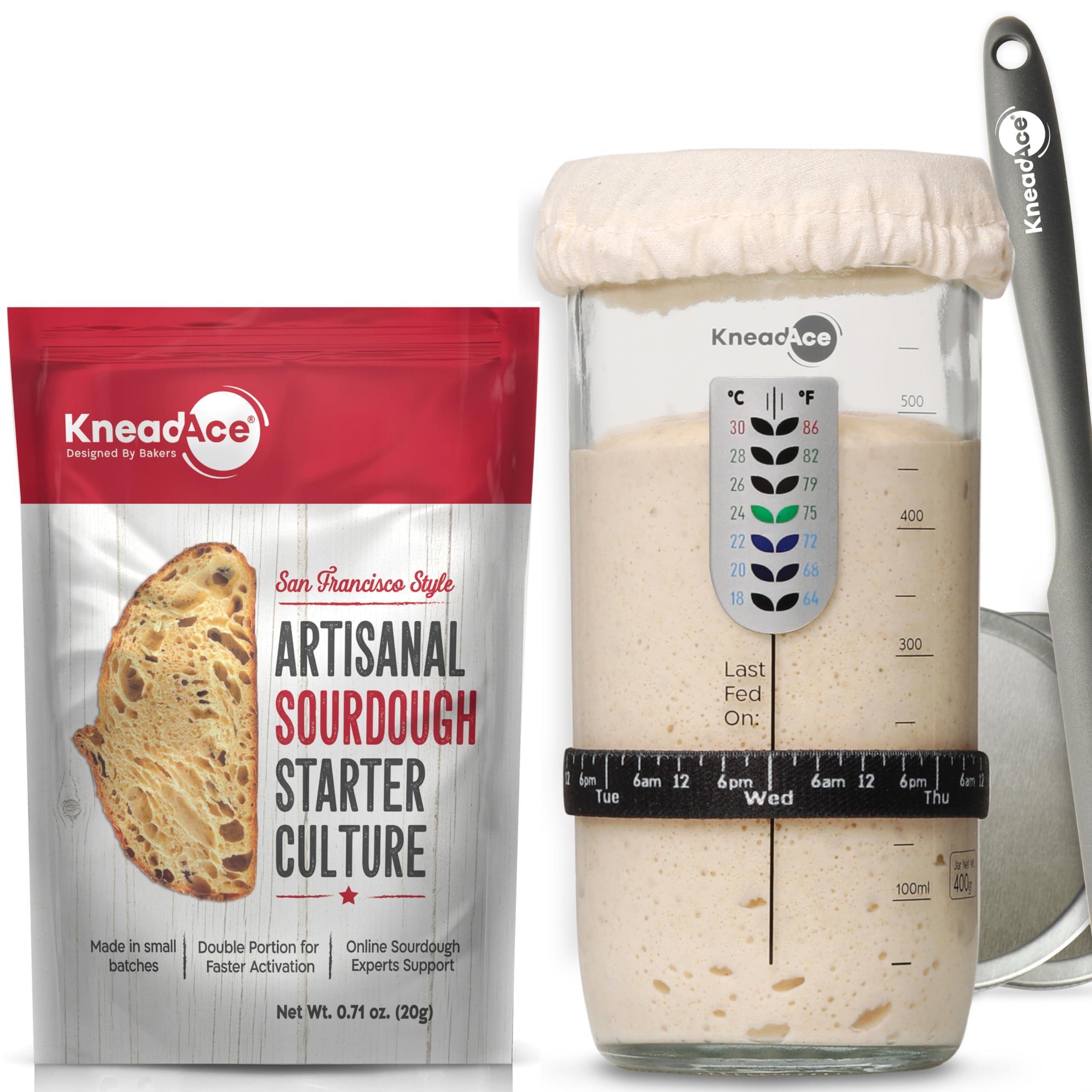 KNEADACE KneadAce 24 Oz Sourdough Starter Jar Kit and Starter Culture