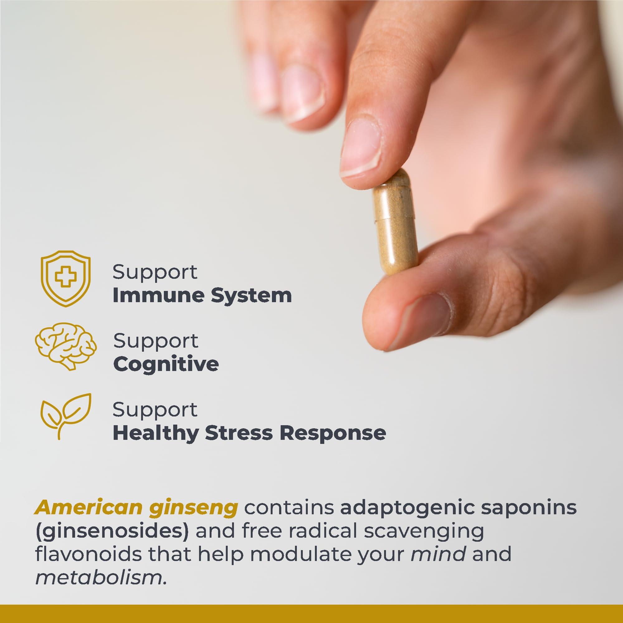 Premier Research Labs Premier Research Labs American Ginseng Supplement - American Ginseng Capsules, Herbal Ginseng Root Pills, North American Ginseng Herb Extract, Calming Energy Supplement - 60 Plant-Based Capsules