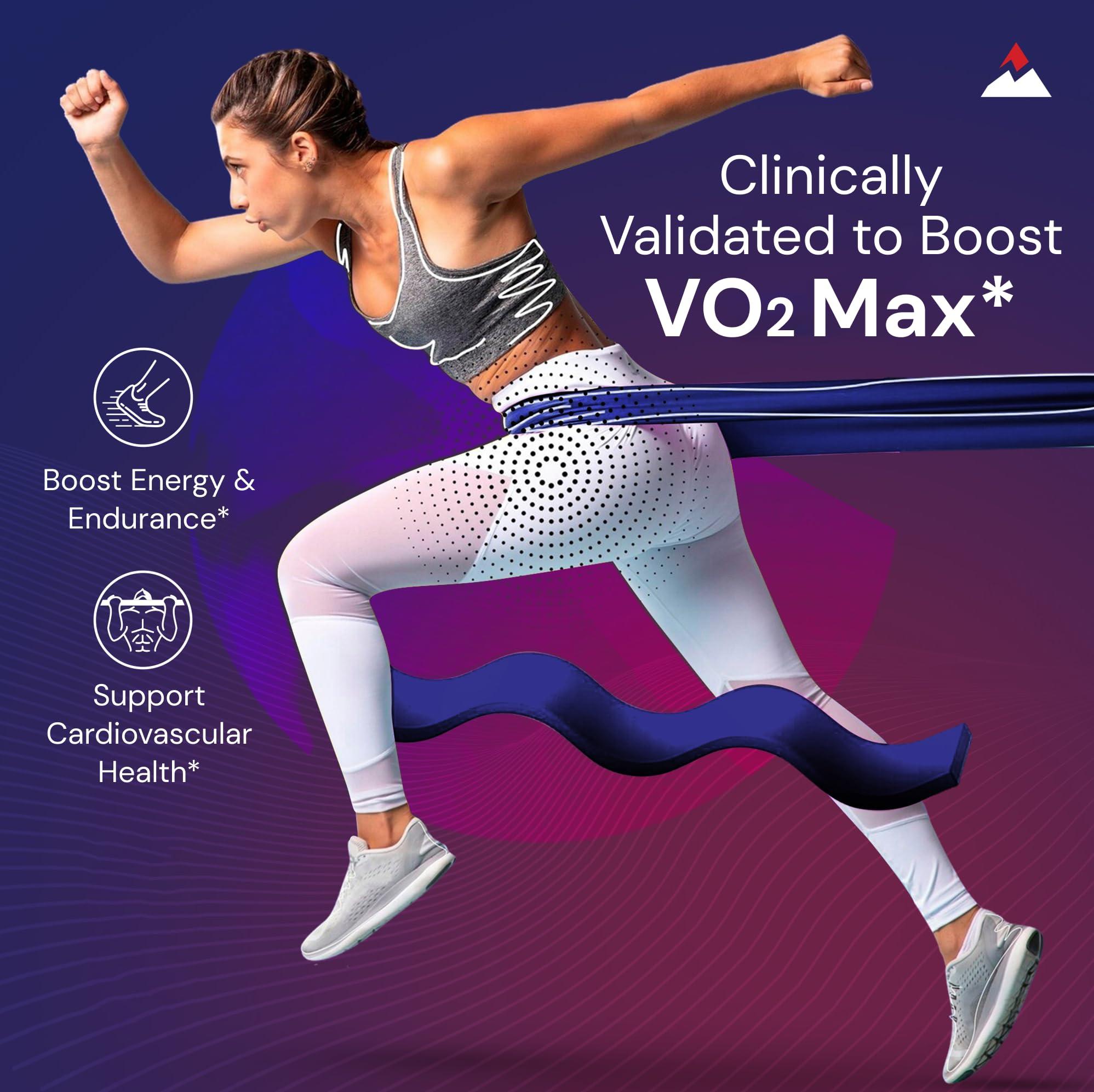 Novex Biotech Novex Biotech Oxydrene NAD+ Enhancer - Natural Supplement Promoting Metabolism and Cardiovascular Support for Men and Women - (60 Capsules)