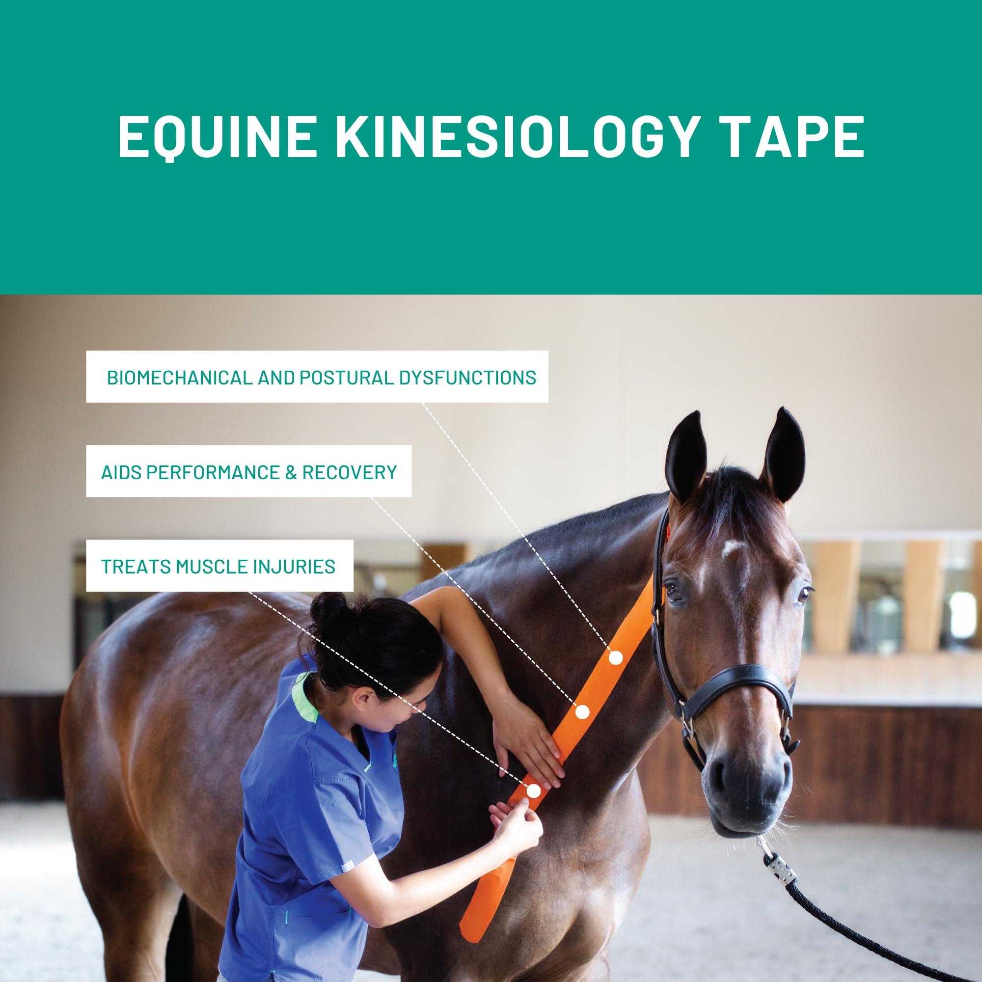 VETKIN VetkinTape Veterinary Kinesiology Tape Blue | kinesiology Tape For Horses & Dogs | Equine & Canine Kinesiotape | Latex Free and TV Quality Mark Certified Ktape | 4 inch | Pack of 1 Roll