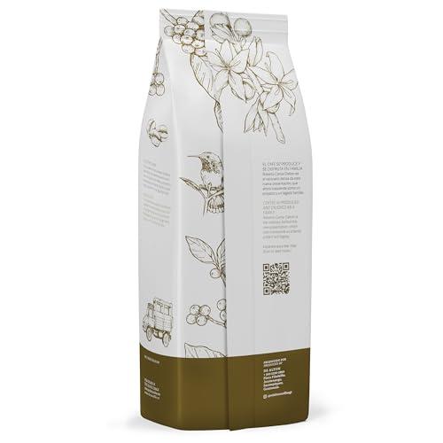 R Dalton R. Dalton Coffee Sublime Genuine Antigua Whole Bean Coffee - Medium Roast - Exotic Chocolaty And Caramel Notes - All Brewing Methods - Premium Quality From Antigua Guatemala 100% Arabica - 12 oz
