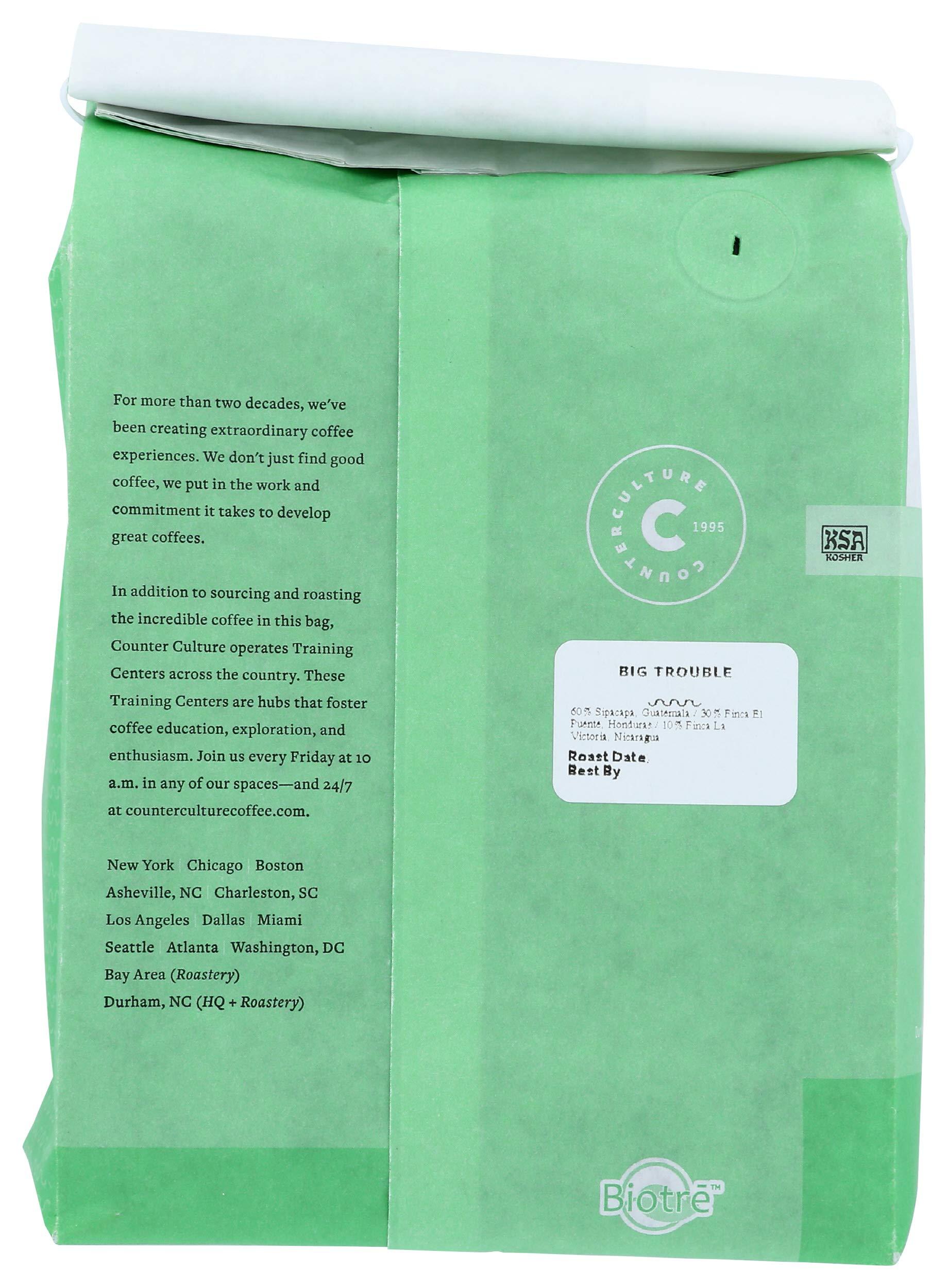 Counter Culture Coffee COUNTER CULTURE COFFEE Big Trouble Blend Whole Bean Coffee, 24 OZ