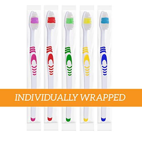 Lingito 25 Bulk Toothbrushes | Individually Wrapped | Manual Disposable Travel Toothbrush Set for Adults or Kids | Made with a Medium-Soft Large Head | Multi-Color | Travel Toiletry Oral Set