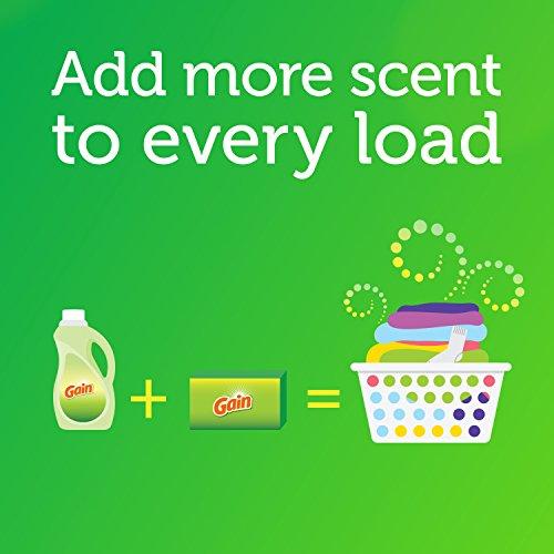 Gain Gain Powder Laundry Detergent for Regular and HE Washers, Island Fresh Scent, 91 ounces (Packaging May Vary)