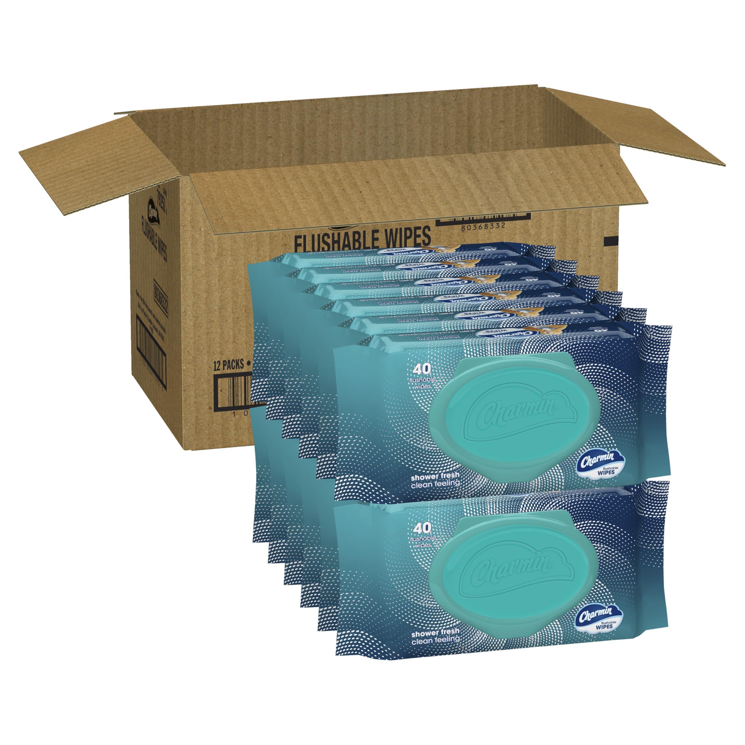Charmin Charmin Flushable Wipes, 480 Total Wipes (12 Packs of 40)