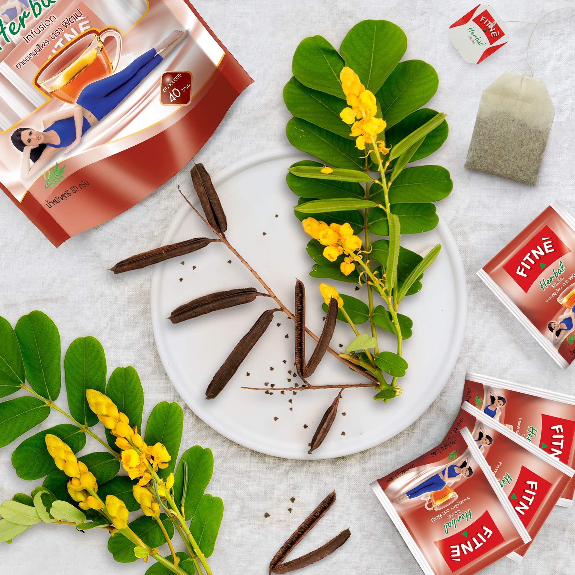 FITNÈ FITNE Original Herbal Tea Senna Infusion Healthy Wellness Beverage Natural Gentle Detox Cleanse No Calories Caffeine Free, 80 Tea Bags