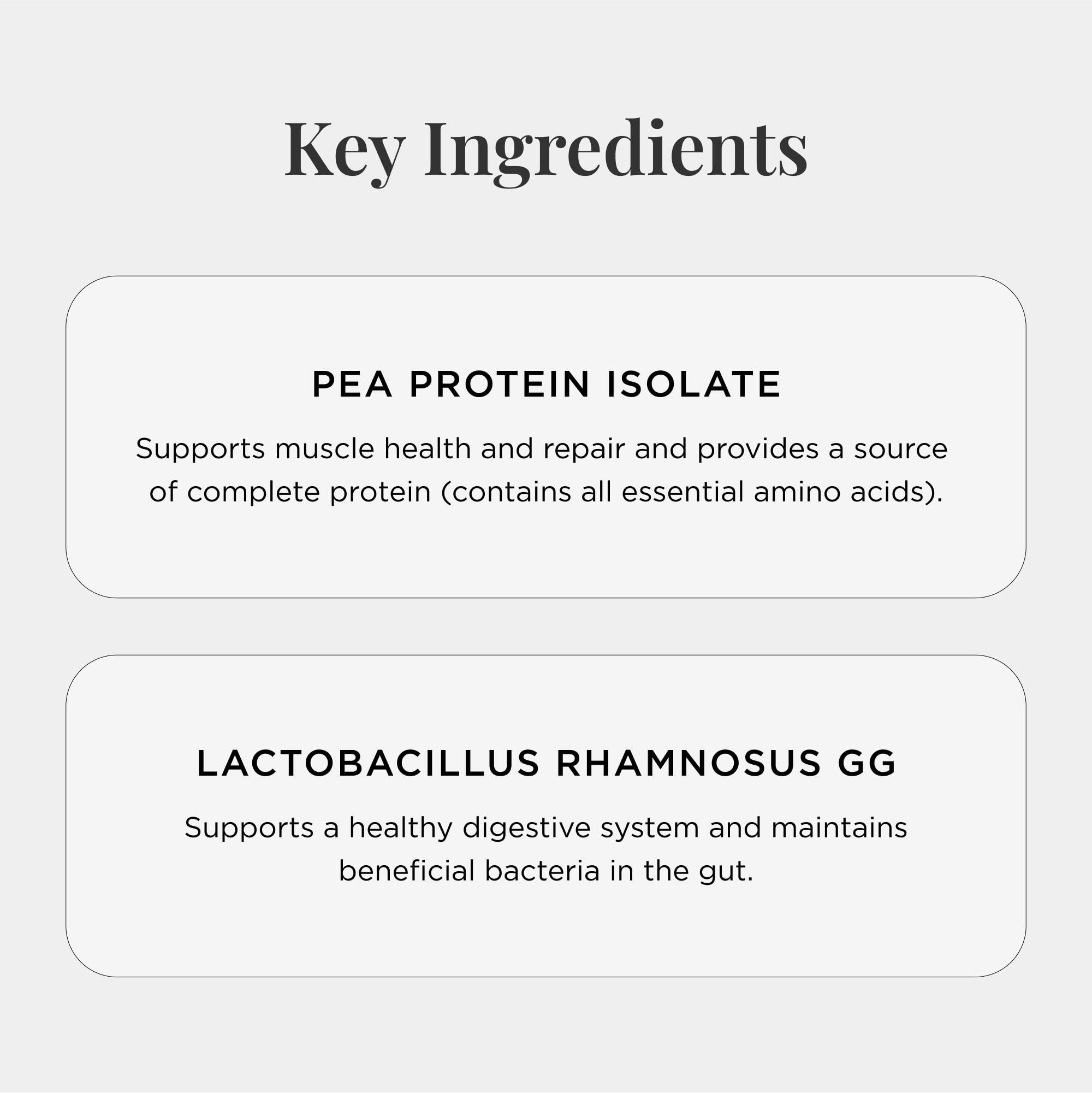JSHealth JSHealth Vegan Pea Protein Powder with Probiotics - Vanilla Bean Flavor - Gluten Free, Non GMO, Plant Based Protein Drink Mix, 300g