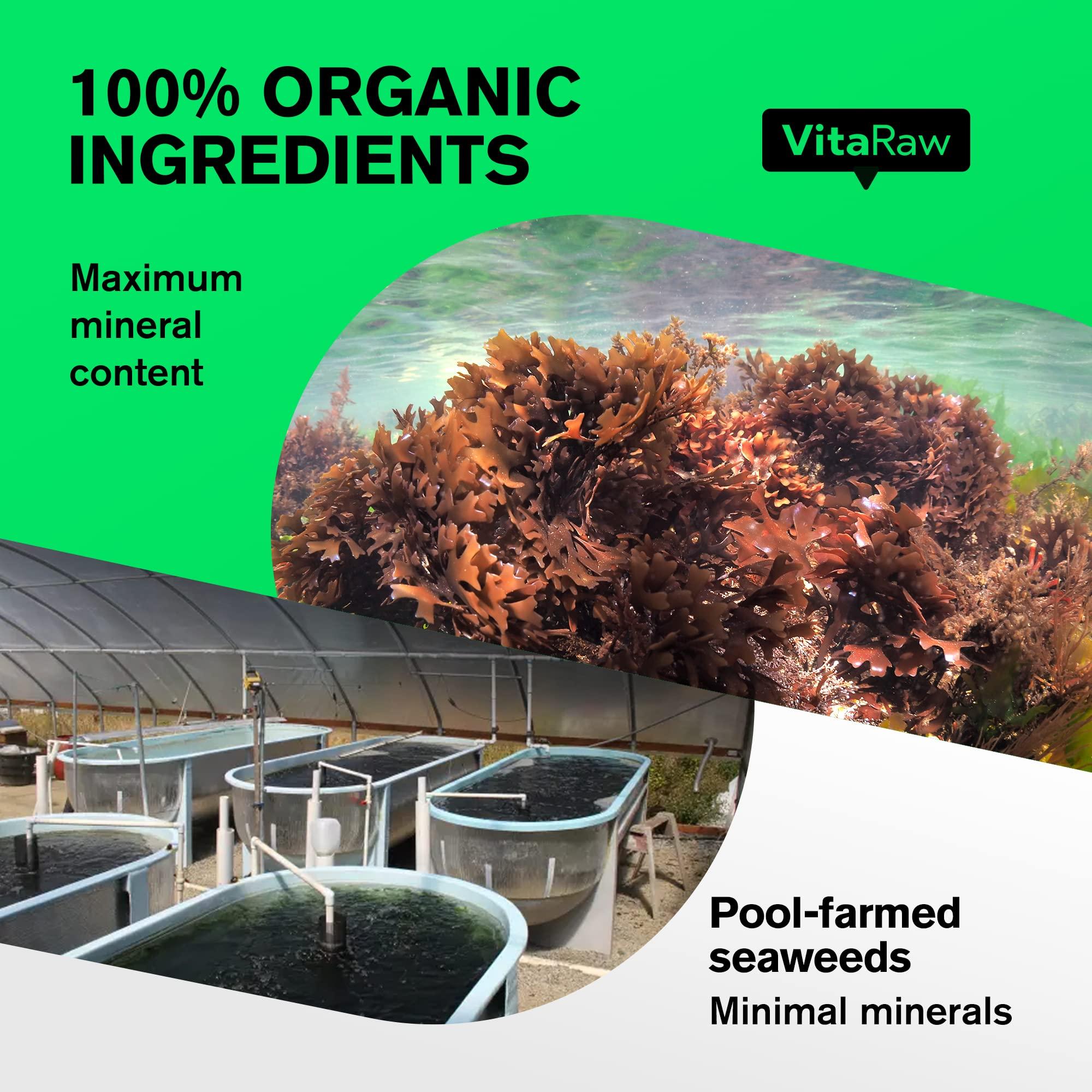 VitaRaw VitaRaw Irish Sea Moss + Quercetin Supplement Immune & Thyroid Support + Cardiovascular Health Booster