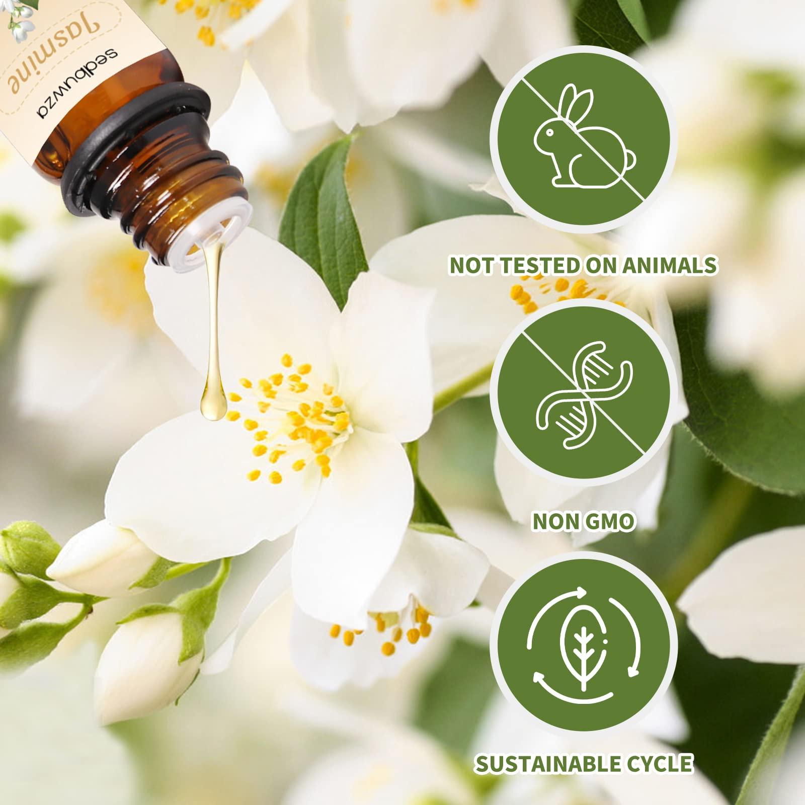 Burgers' Smokehouse Burgers' Smokehouse Smokehouse Favorites