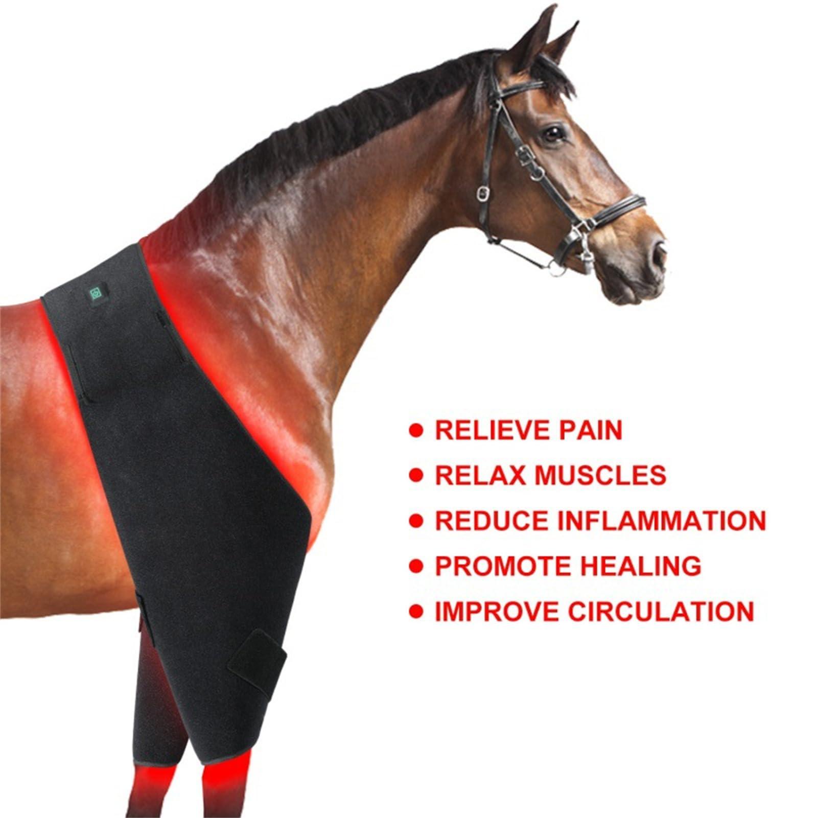Aniwini Horse Use Red Light Therapy Pad 660nm 850nm Red Infrared Belt for Horse Buttocks, Abdomen, Back, Front Legs and Hind Legs Muscle Recovery