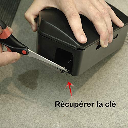 PROTECT EXPERT Protection Expert RASOUBOIT - Box for All Rodents with Key Lock - Rigid and Reusable, Effective, Safety