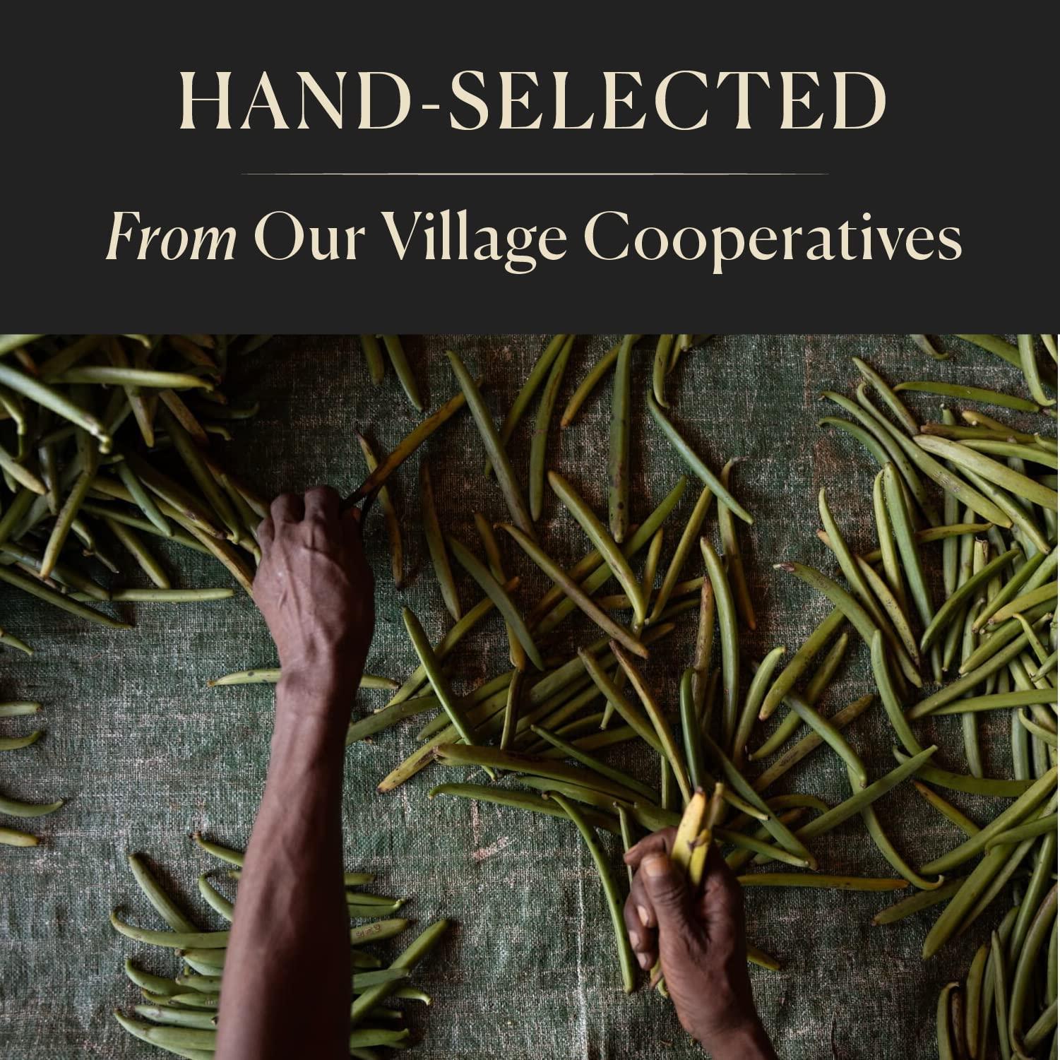 COOK'S 10 Organic Madagascar Whole Vanilla Beans, Grade A Vanilla Pods, Premium Vanilla Beans for Making Extract & Baking - Cooks