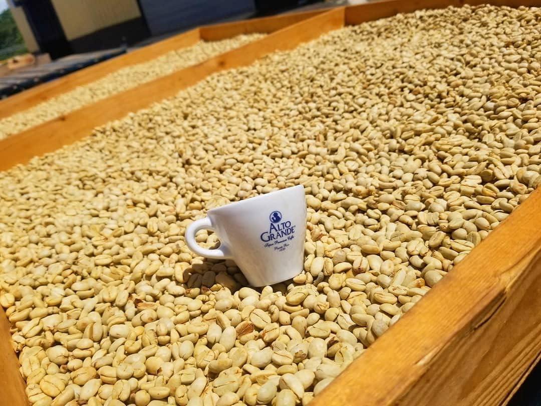 Alto Grande Alto Grande Super Premium Decaf Capsules for Nespresso Machines, 100 Percent Arabica Coffee From Puerto Rico (144 Count)