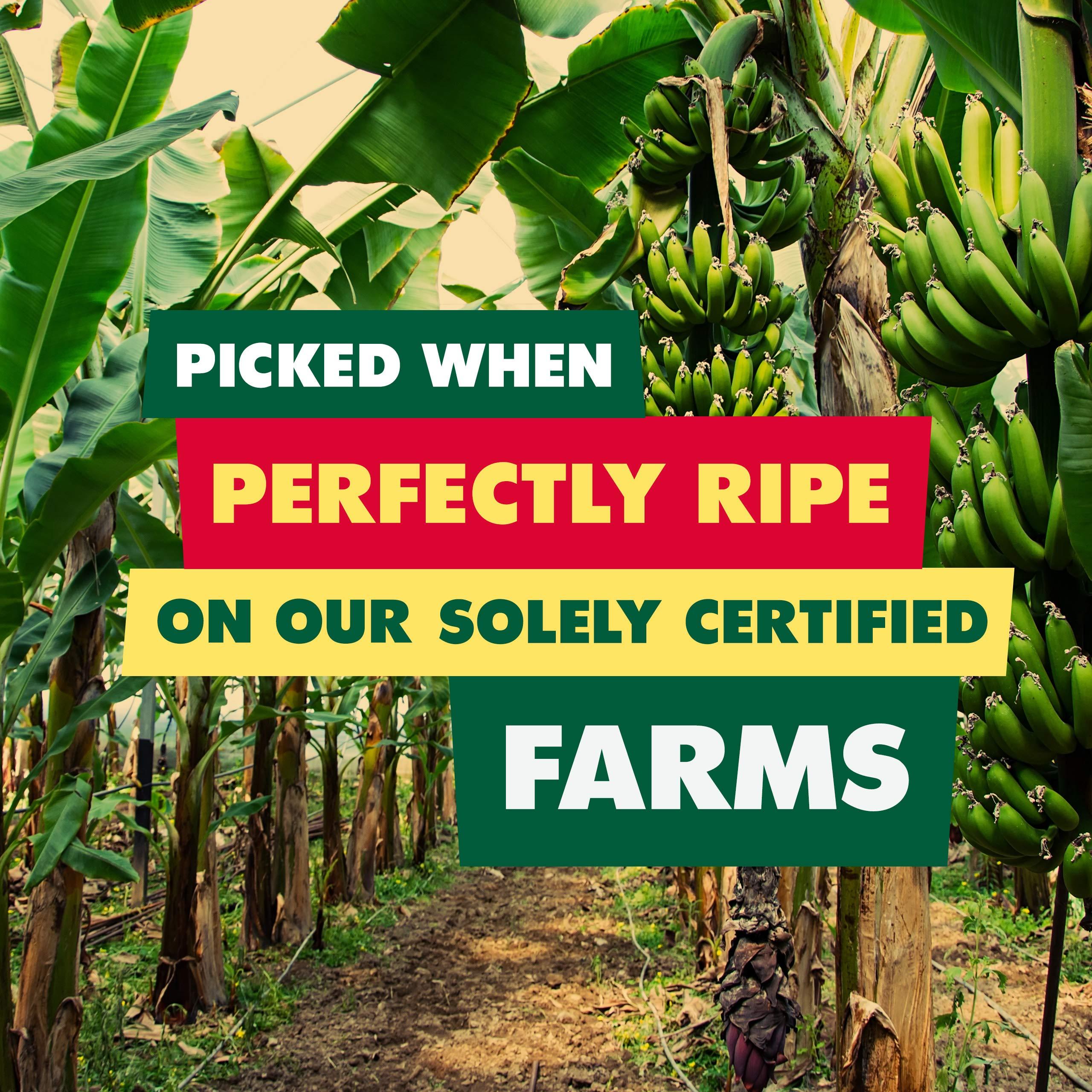 SOLELY SOLELY - Organic Dried Mango Strips with Chili and Salt (2.8 oz Resealable Bags, Pack of 8) Real Fresh Fruit - Healthy Snacks for Adults & Kids - Non GMO, Vegan Snacks, Shelf Stable - 8 Bags (22.4 oz)