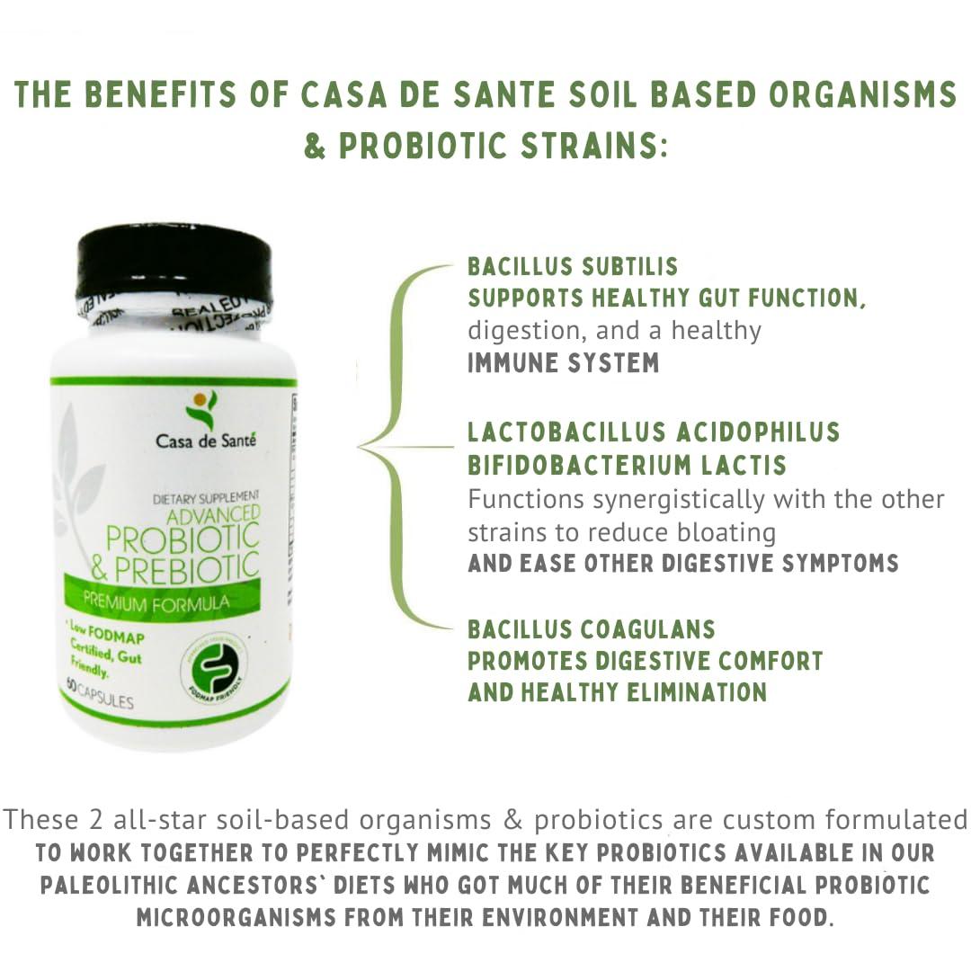 Casa de Sante Casa de Sante Low FODMAP Certified Probiotic & Prebiotic Synbiotic Supplement, IBS IBD & SIBO Dairy Free Vegan, Soy/Gluten/Inulin Free Non GMO No Gas No Bloating (60 Caps)