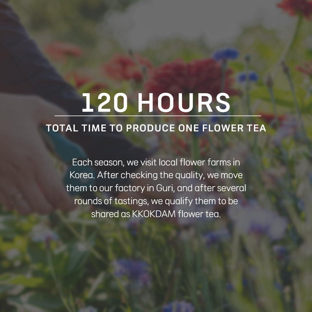 KKOKDAM KKOKDAM Korean Tea Gift Set 3 Flavor Yellow Tea Variety Pack with Butterfly Tea Bags Unique Fancy Tea Bag Sampler Elegant Korean Gift Box for Tea Lovers Perfect Tea Gifts