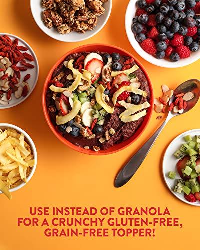 DANG Dang Toasted Coconut Chips | Original | 12 Pack | Vegan, Gluten Free, Non GMO, Healthy Snacks Made with Whole Foods | 3.17 Oz Resealable Bags