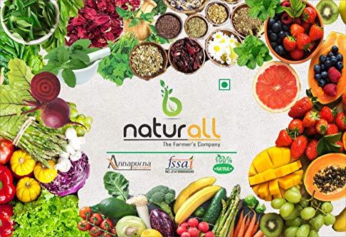 Admart Admart Coconut Milk Powder | Keto Friendly | Dairy Free - 100 GM by B Naturall