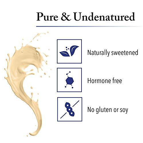 Natural Factors Whey Factors by Natural Factors, Grass Fed Whey Protein Concentrate, Aids Muscle Development and Immune Health, French Vanilla, 2 lb