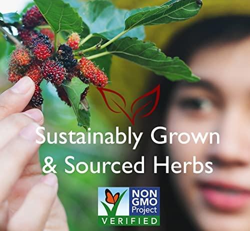 Bravo Tea Bravo Tea Triple Detox Herbal Tea Caffeine Free, 20 Tea Bags, 2 Count